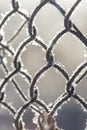 Frozen fence made of metal mesh covered with frost crystals, an early sunny cold morning, on a blurred background. Royalty Free Stock Photo