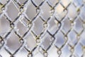 Frozen fence made of metal mesh covered with frost crystals, an early sunny cold morning, on a blurred background. Royalty Free Stock Photo