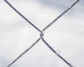 Frozen fence made of metal mesh covered with frost crystals, an early sunny cold morning, on a blurred background. Royalty Free Stock Photo