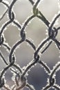 Frozen fence made of metal mesh covered with frost crystals, an Royalty Free Stock Photo