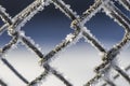 Frozen fence made of metal mesh covered with frost crystals, an Royalty Free Stock Photo