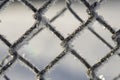 Frozen fence made of metal mesh covered with frost crystals, an Royalty Free Stock Photo