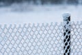 Frozen fence made of metal mesh covered with snowy hoarfrost Royalty Free Stock Photo