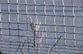 Frozen fence made of metal mesh covered with snowy hoarfrost, winter day. Winter snow texture. Close up Royalty Free Stock Photo