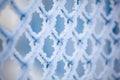 Frozen fence made of metal mesh covered with snowy hoarfrost, winter day. Winter snow texture. Royalty Free Stock Photo