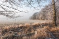 Frozen field at the edge of the forest. Royalty Free Stock Photo