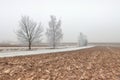 Frozen field and trees at the beginning of winter Royalty Free Stock Photo