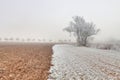 Frozen field and trees at the beginning of winter Royalty Free Stock Photo