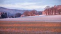 Frozen field and trees on cold clear winter Royalty Free Stock Photo