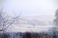 Frozen field and trees on cold foogy winter Royalty Free Stock Photo