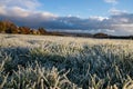 Frozen fields Royalty Free Stock Photo