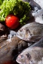 Frozen fish Royalty Free Stock Photo