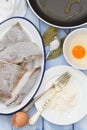 Frozen fish with egg, powder Royalty Free Stock Photo