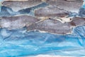 frozen fish fillets Longtail hake on plastic packaging at the fish market Royalty Free Stock Photo
