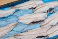 frozen fish Longtail hake in a box. Packaging with interleave plastic film and fish. Argentine commercial fish after