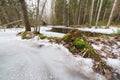 Frozen flooded river in forest Royalty Free Stock Photo