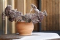 Frozen flowers