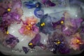 Frozen flowers in the ice violets. Lilac, pink, multi-colored. Royalty Free Stock Photo