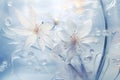 Frozen flowers. Light blue frost pattern on a window glass. Abstract background. Royalty Free Stock Photo