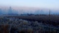 Frozen foggy desert morning Royalty Free Stock Photo