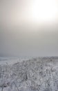 Frozen foggy field covered by snow