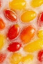 Frozen food concept: red and yellow tomato slices were frozen inside ice cubes. Royalty Free Stock Photo