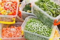 Frozen foods recipes vegetables Royalty Free Stock Photo