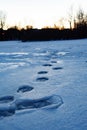 Frozen footprints across pond leading towards winter sunset