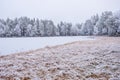 Frozen forest lake in the wilderness Royalty Free Stock Photo