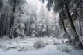 frozen forest with trees coated in a blanket of snow after blizzard