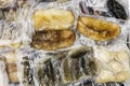 Frozen fresh abalone and sea cucumber, packaged for retail Royalty Free Stock Photo