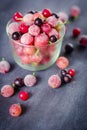 Frozen and fresh berries in a glass pial on a black background. Royalty Free Stock Photo