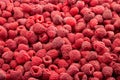 Frozen fresh raspberry. Food background. Top view.