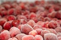 Frozen fresh strawberry. Food background of berries.