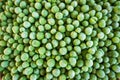 frozen frosty green peas background closeup