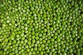 frozen frosty green peas background closeup