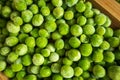 frozen frosty green peas on wooden plate closeup Royalty Free Stock Photo