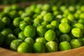 frozen frosty green peas on wooden plate closeup Royalty Free Stock Photo