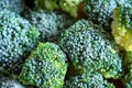 frozen frosty look broccoli florets background closup