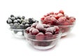 Frozen fruit Royalty Free Stock Photo