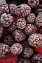 Frozen fruit berries. blackberry. Close-up and macro with ice crystals on dark purple blackberries. Red strawberries and Royalty Free Stock Photo