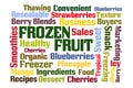 Frozen Fruit Word Cloud