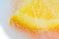 Frozen fruit in ice. Royalty Free Stock Photo