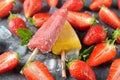 Frozen fruit ice with strawberries Royalty Free Stock Photo