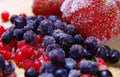 Frozen fruit Royalty Free Stock Photo