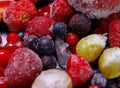 Frozen fruit Royalty Free Stock Photo