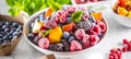 Frozen fruits blueberries blackberry raspberry red currant peach and herbs melissa Royalty Free Stock Photo