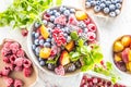 Frozen fruits blueberries blackberry raspberry red currant peach and herbs melissa Royalty Free Stock Photo