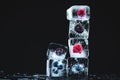 close-up view of ripe gourmet frozen fruits in ice cubes