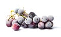 Frozen grapes cluster on white background